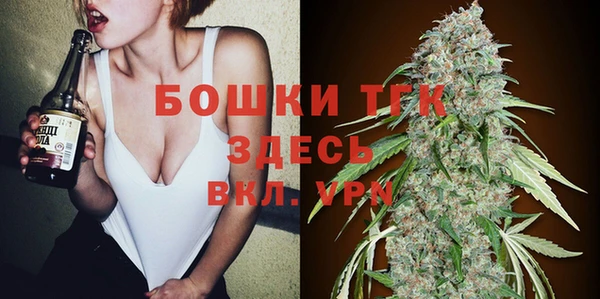 mix Богородицк